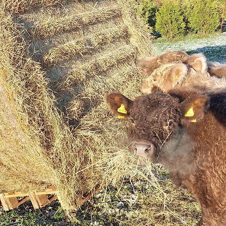 Ferienwohnung Auf Dem Land Dittersbach Dış mekan fotoğraf