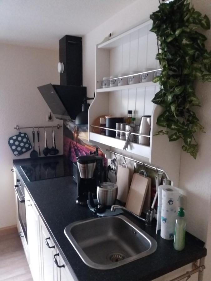 Ferienwohnung Auf Dem Land Dittersbach Dış mekan fotoğraf